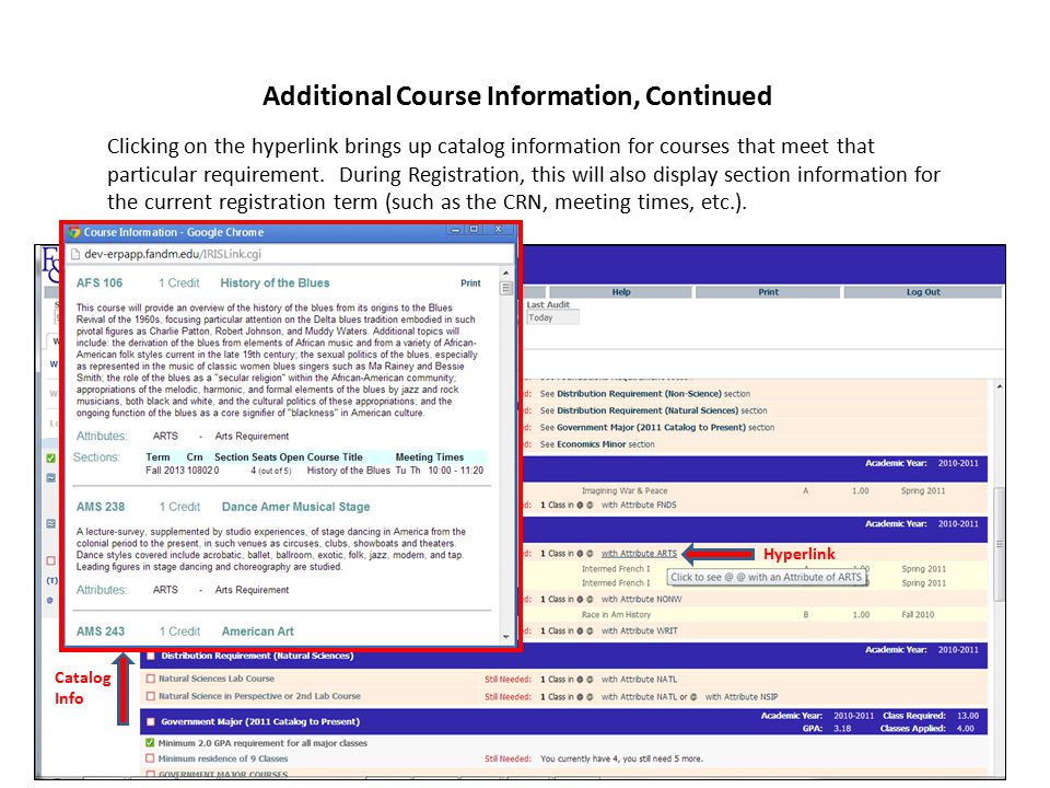 Clicking on the hyperlink brings up catalog information for courses that meet that particular requirement.