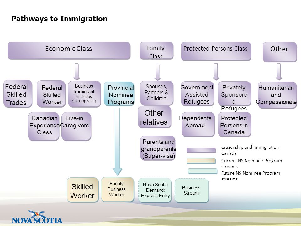 Pathways to Immigration Economic Class Federal Skilled Worker Canadian Experience Class Business Immigrant (includes Start-Up Visa) Live-in Caregivers Provincial Nominee Programs Spouses, Partners & Children Parents and grandparents (Super-visa) Government Assisted Refugees Privately Sponsore d Refugees Dependents Abroad Protected Persons in Canada Humanitarian and Compassionate Family Class Protected Persons Class Other Skilled Worker Citizenship and Immigration Canada Current NS Nominee Program streams Federal Skilled Trades Other relatives Family Business Worker Nova Scotia Demand: Express Entry Business Stream Future NS Nominee Program streams