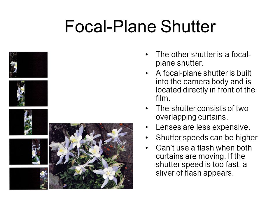 Focal-Plane Shutter The other shutter is a focal- plane shutter.