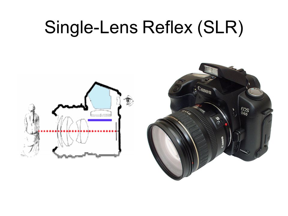 Single-Lens Reflex (SLR)