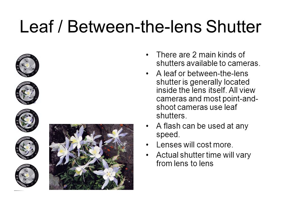 Leaf / Between-the-lens Shutter There are 2 main kinds of shutters available to cameras.