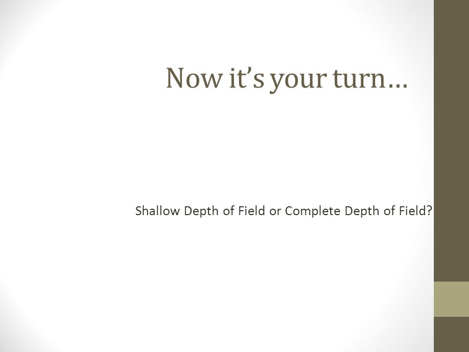 Now it’s your turn… Shallow Depth of Field or Complete Depth of Field