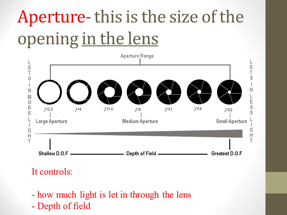 Aperture- this is the size of the opening in the lens It controls: - how much light is let in through the lens - Depth of field
