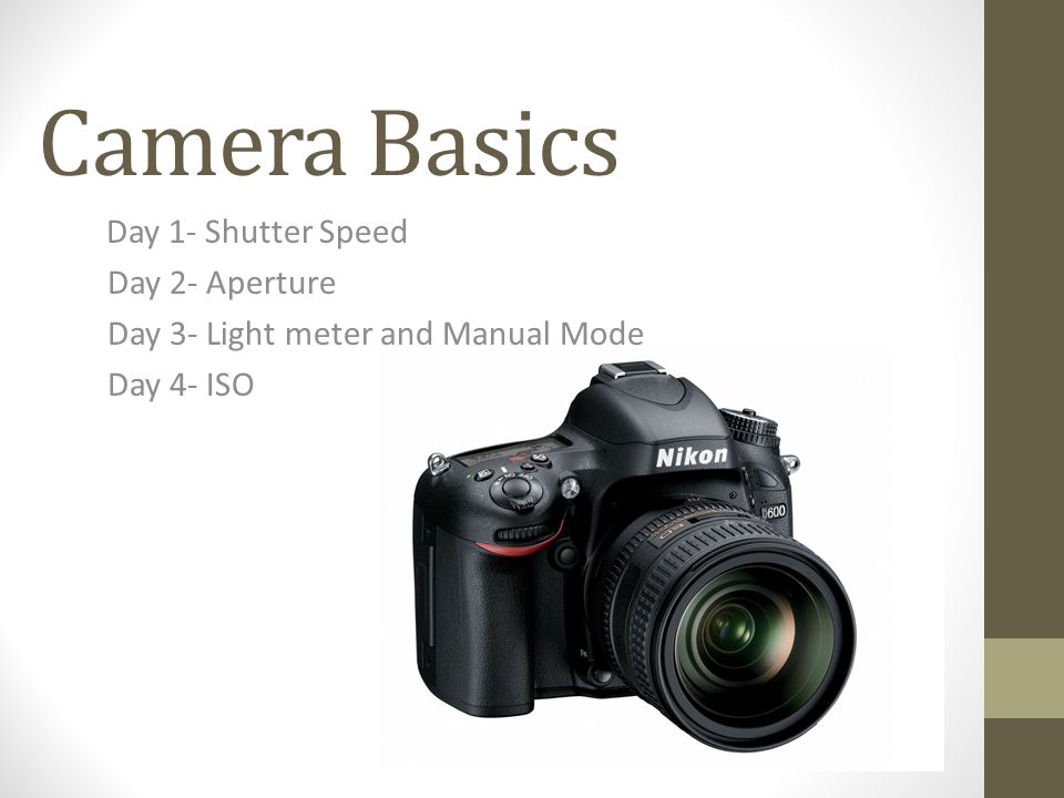 Camera Basics Day 1- Shutter Speed Day 2- Aperture Day 3- Light meter and Manual Mode Day 4- ISO
