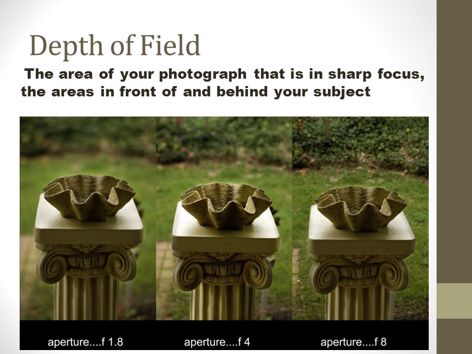 Depth of Field The area of your photograph that is in sharp focus, the areas in front of and behind your subject