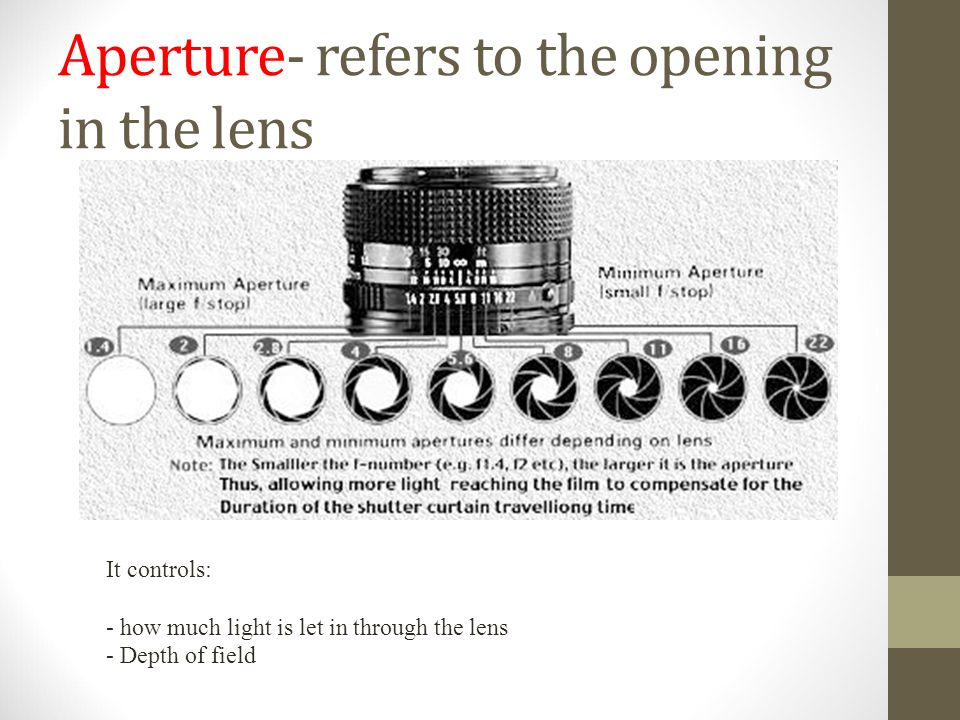 Aperture- refers to the opening in the lens It controls: - how much light is let in through the lens - Depth of field