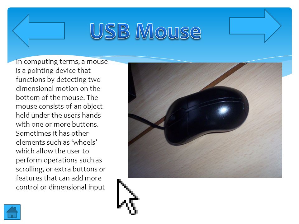 In computing terms, a mouse is a pointing device that functions by detecting two dimensional motion on the bottom of the mouse.