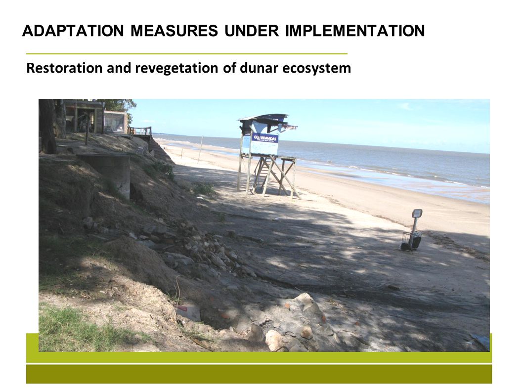 ADAPTATION MEASURES UNDER IMPLEMENTATION Restoration and revegetation of dunar ecosystem