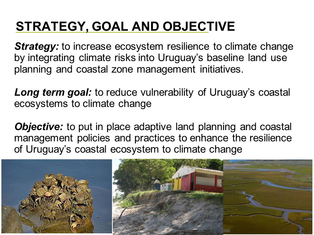STRATEGY, GOAL AND OBJECTIVE Strategy: to increase ecosystem resilience to climate change by integrating climate risks into Uruguay’s baseline land use planning and coastal zone management initiatives.