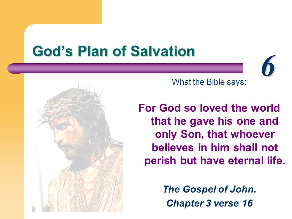 God’s Plan of Salvation What the Bible says: For God so loved the world that he gave his one and only Son, that whoever believes in him shall not perish but have eternal life.
