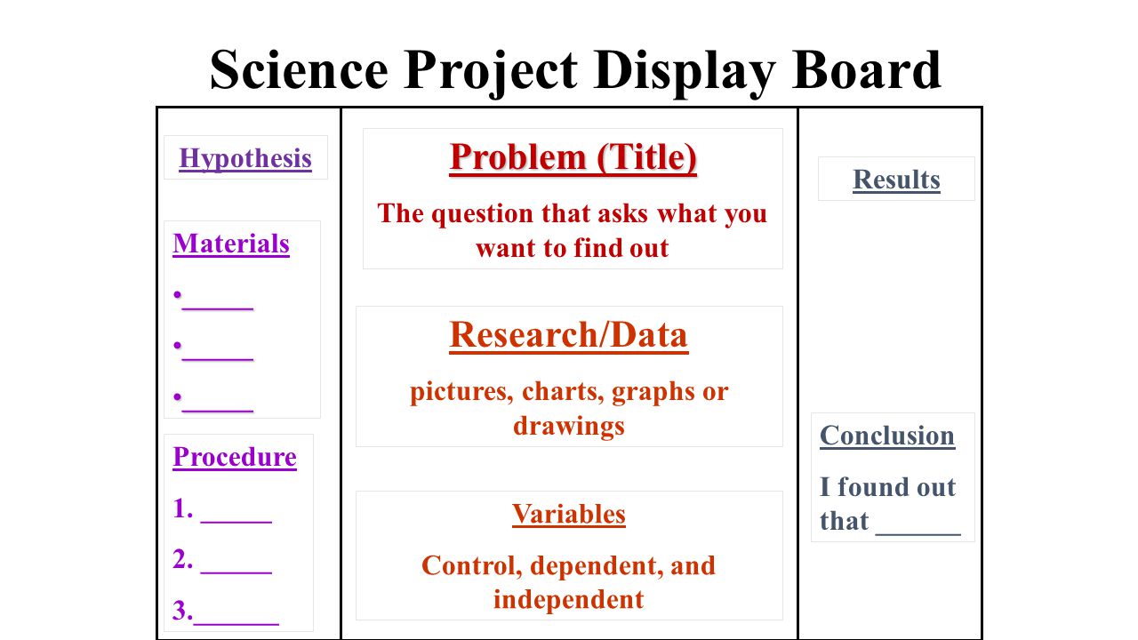 poster board science projects
