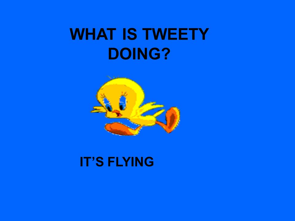 WHAT IS TWEETY DOING IT’S FLYING