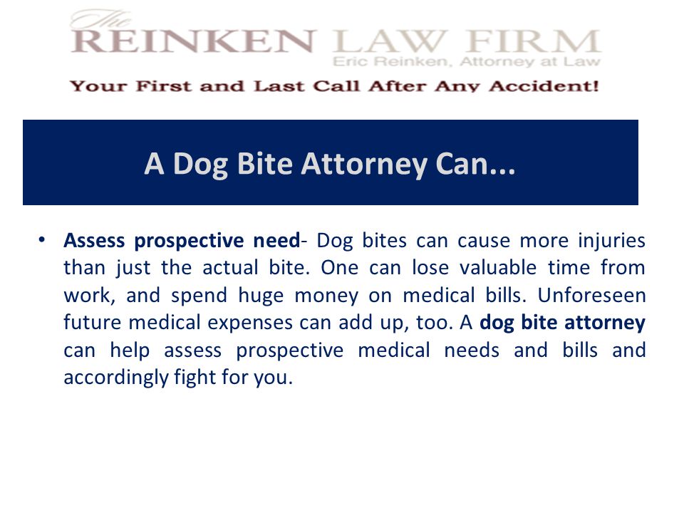 A Dog Bite Attorney Can...