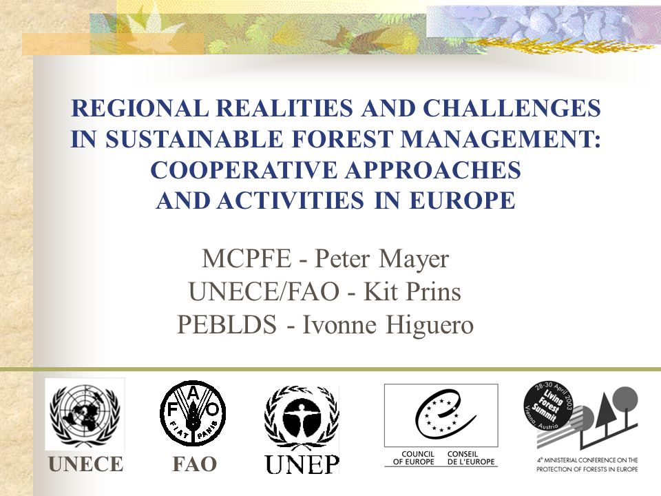 UNECEFAO REGIONAL REALITIES AND CHALLENGES IN SUSTAINABLE FOREST MANAGEMENT: COOPERATIVE APPROACHES AND ACTIVITIES IN EUROPE MCPFE - Peter Mayer UNECE/FAO - Kit Prins PEBLDS - Ivonne Higuero