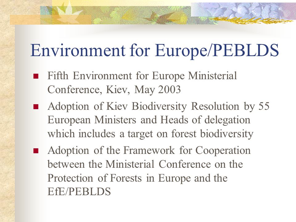 Environment for Europe/PEBLDS Fifth Environment for Europe Ministerial Conference, Kiev, May 2003 Adoption of Kiev Biodiversity Resolution by 55 European Ministers and Heads of delegation which includes a target on forest biodiversity Adoption of the Framework for Cooperation between the Ministerial Conference on the Protection of Forests in Europe and the EfE/PEBLDS