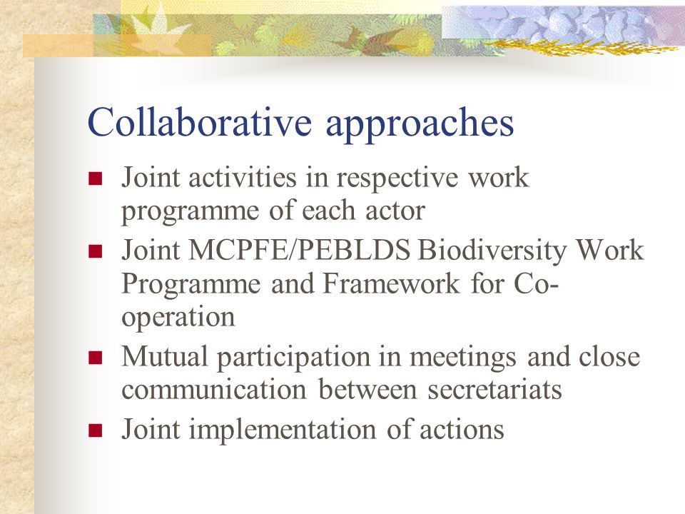 Collaborative approaches Joint activities in respective work programme of each actor Joint MCPFE/PEBLDS Biodiversity Work Programme and Framework for Co- operation Mutual participation in meetings and close communication between secretariats Joint implementation of actions