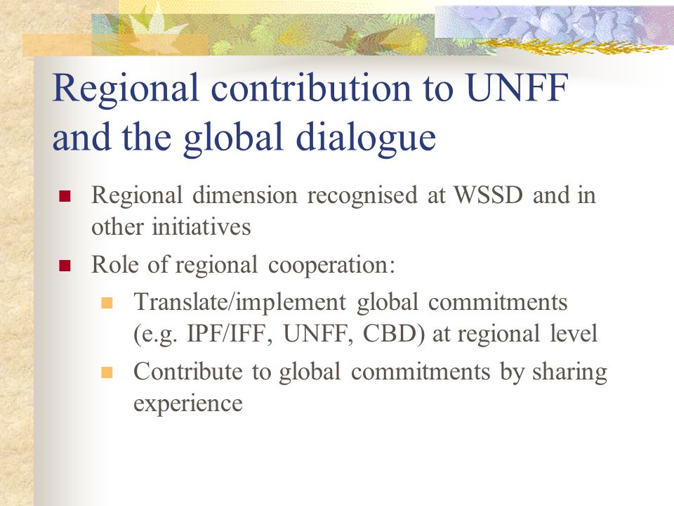 Regional contribution to UNFF and the global dialogue Regional dimension recognised at WSSD and in other initiatives Role of regional cooperation: Translate/implement global commitments (e.g.
