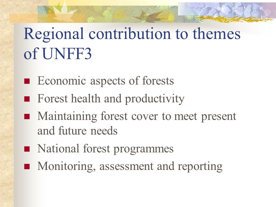 Regional contribution to themes of UNFF3 Economic aspects of forests Forest health and productivity Maintaining forest cover to meet present and future needs National forest programmes Monitoring, assessment and reporting