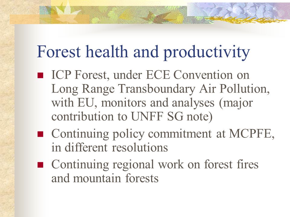 Forest health and productivity ICP Forest, under ECE Convention on Long Range Transboundary Air Pollution, with EU, monitors and analyses (major contribution to UNFF SG note) Continuing policy commitment at MCPFE, in different resolutions Continuing regional work on forest fires and mountain forests