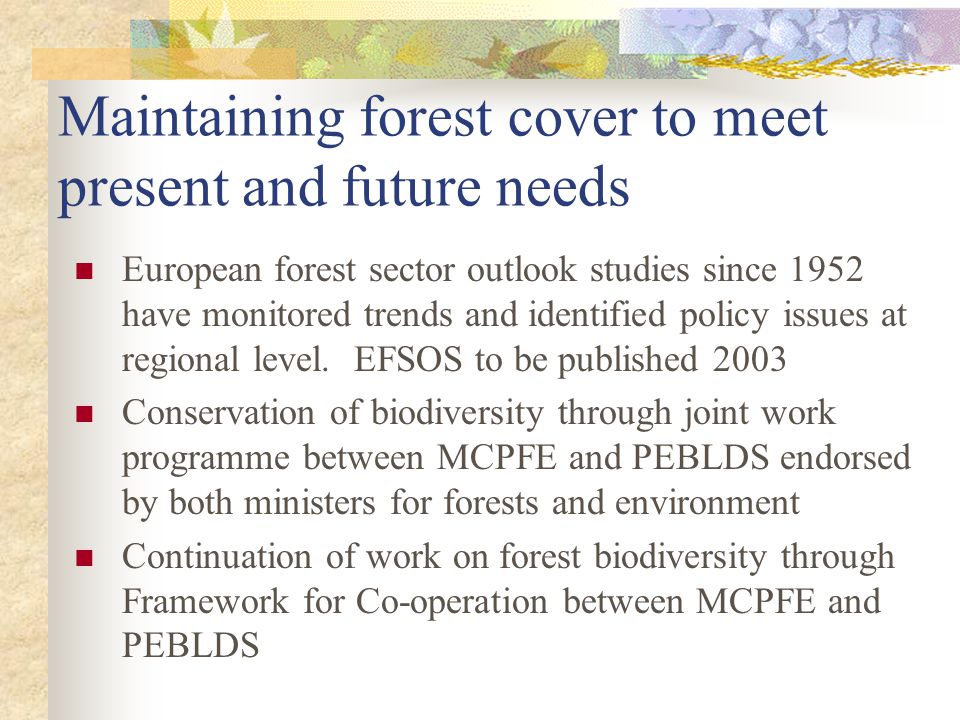 Maintaining forest cover to meet present and future needs European forest sector outlook studies since 1952 have monitored trends and identified policy issues at regional level.