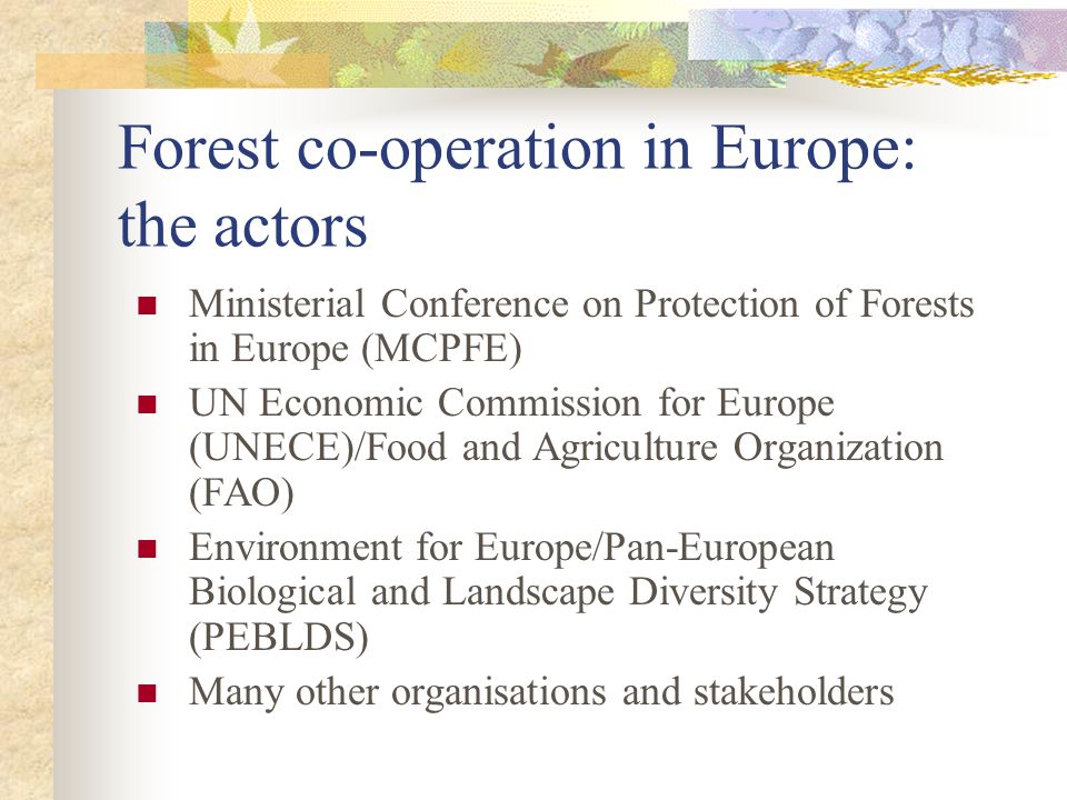 Forest co-operation in Europe: the actors Ministerial Conference on Protection of Forests in Europe (MCPFE) UN Economic Commission for Europe (UNECE)/Food and Agriculture Organization (FAO) Environment for Europe/Pan-European Biological and Landscape Diversity Strategy (PEBLDS) Many other organisations and stakeholders