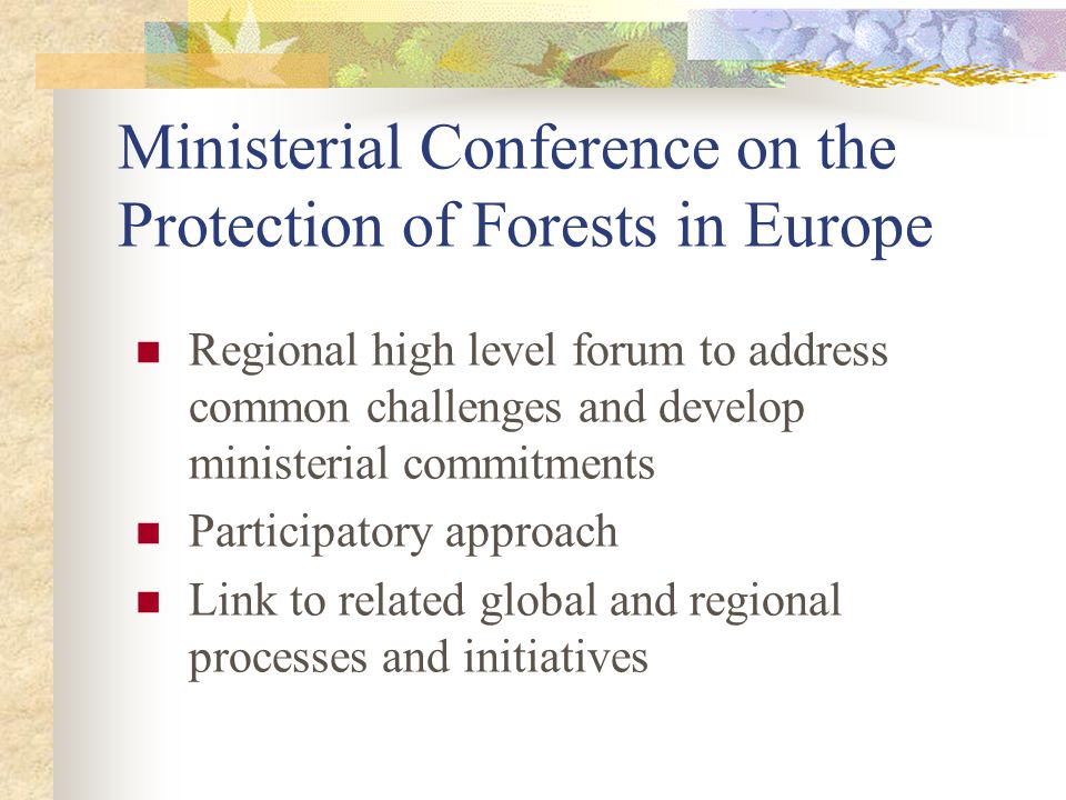 Ministerial Conference on the Protection of Forests in Europe Regional high level forum to address common challenges and develop ministerial commitments Participatory approach Link to related global and regional processes and initiatives