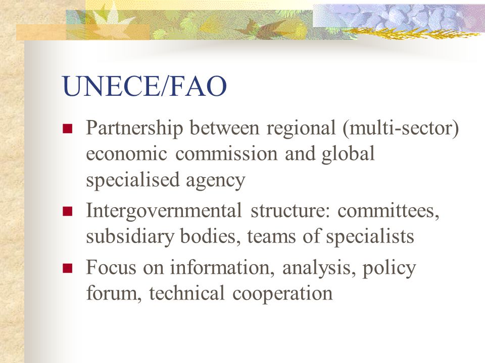 UNECE/FAO Partnership between regional (multi-sector) economic commission and global specialised agency Intergovernmental structure: committees, subsidiary bodies, teams of specialists Focus on information, analysis, policy forum, technical cooperation
