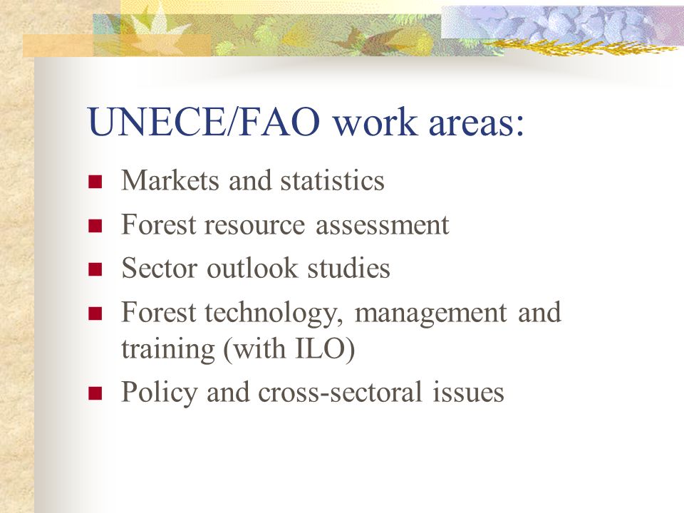 UNECE/FAO work areas: Markets and statistics Forest resource assessment Sector outlook studies Forest technology, management and training (with ILO) Policy and cross-sectoral issues