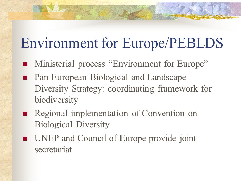 Environment for Europe/PEBLDS Ministerial process Environment for Europe Pan-European Biological and Landscape Diversity Strategy: coordinating framework for biodiversity Regional implementation of Convention on Biological Diversity UNEP and Council of Europe provide joint secretariat