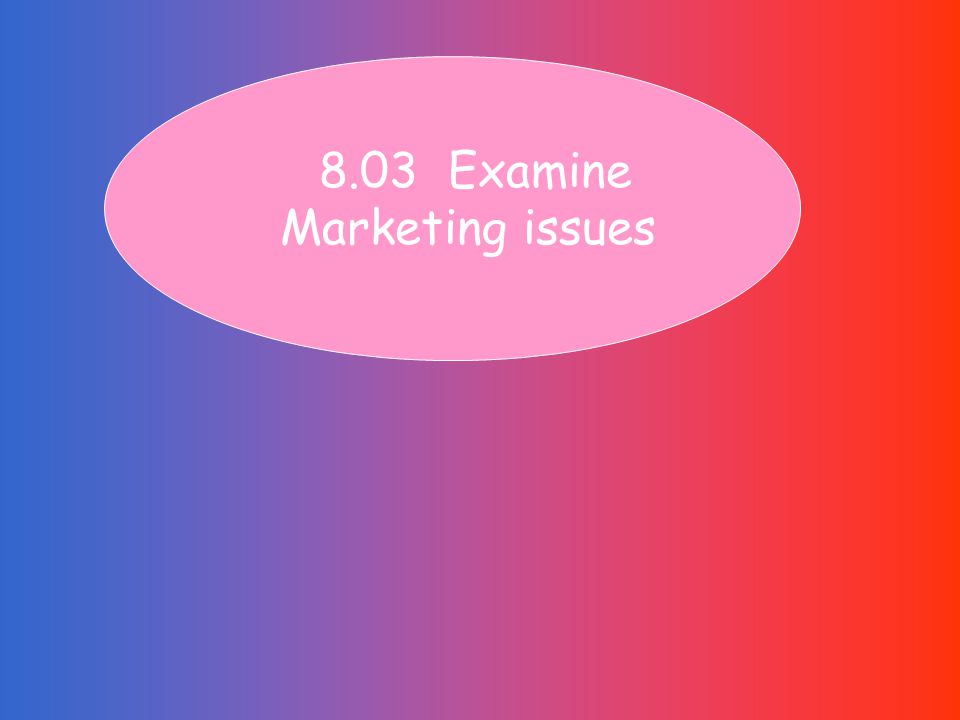 8.03 Examine Marketing issues