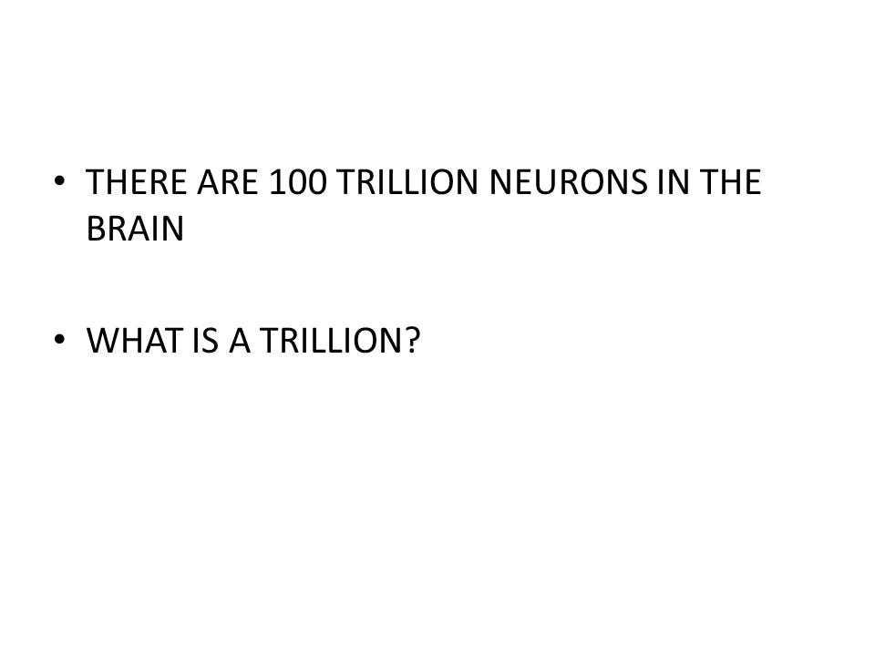 THERE ARE 100 TRILLION NEURONS IN THE BRAIN WHAT IS A TRILLION