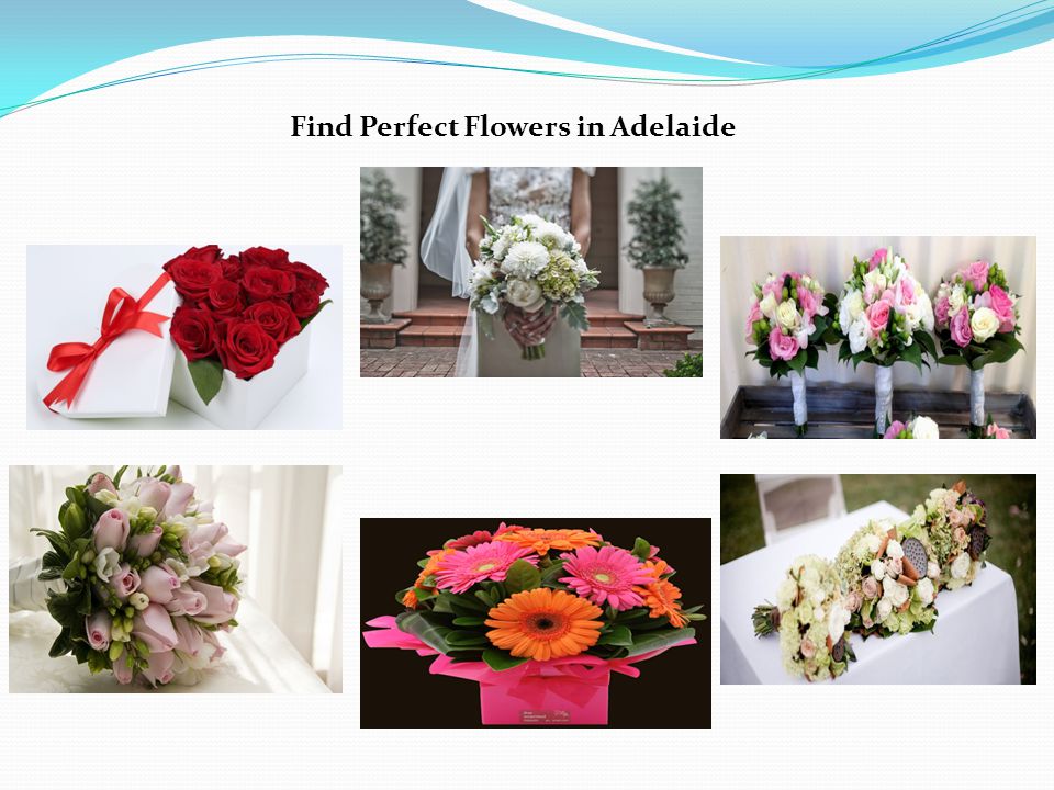 Find Perfect Flowers in Adelaide