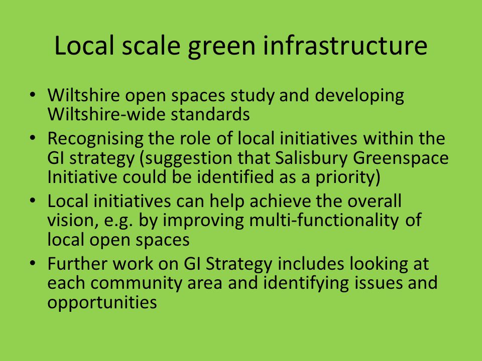 Local scale green infrastructure Wiltshire open spaces study and developing Wiltshire-wide standards Recognising the role of local initiatives within the GI strategy (suggestion that Salisbury Greenspace Initiative could be identified as a priority) Local initiatives can help achieve the overall vision, e.g.