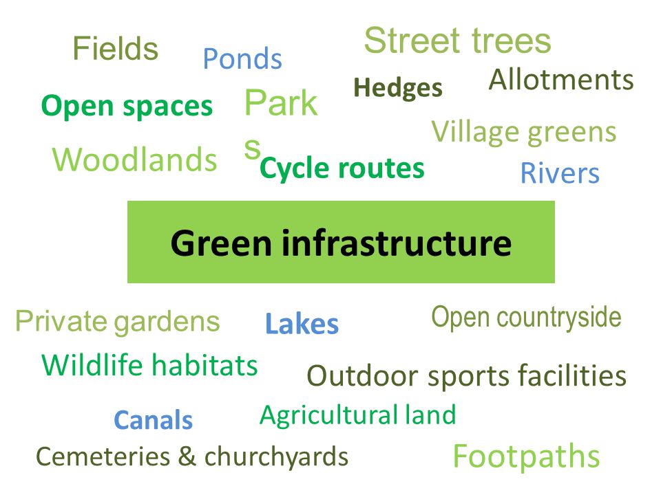 Green infrastructure Open spaces Cycle routes Woodlands Street trees Open countryside Fields Hedges Lakes Ponds Wildlife habitats Park s Private gardens Village greens Agricultural land Allotments Cemeteries & churchyards Outdoor sports facilities Rivers Canals Footpaths