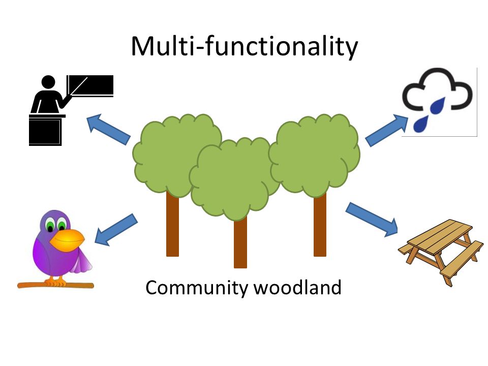Multi-functionality Community woodland