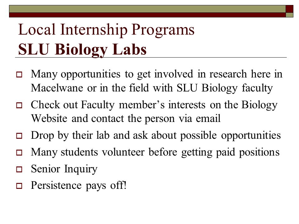 Local Internship Programs SLU Biology Labs  Many opportunities to get involved in research here in Macelwane or in the field with SLU Biology faculty  Check out Faculty member’s interests on the Biology Website and contact the person via   Drop by their lab and ask about possible opportunities  Many students volunteer before getting paid positions  Senior Inquiry  Persistence pays off!