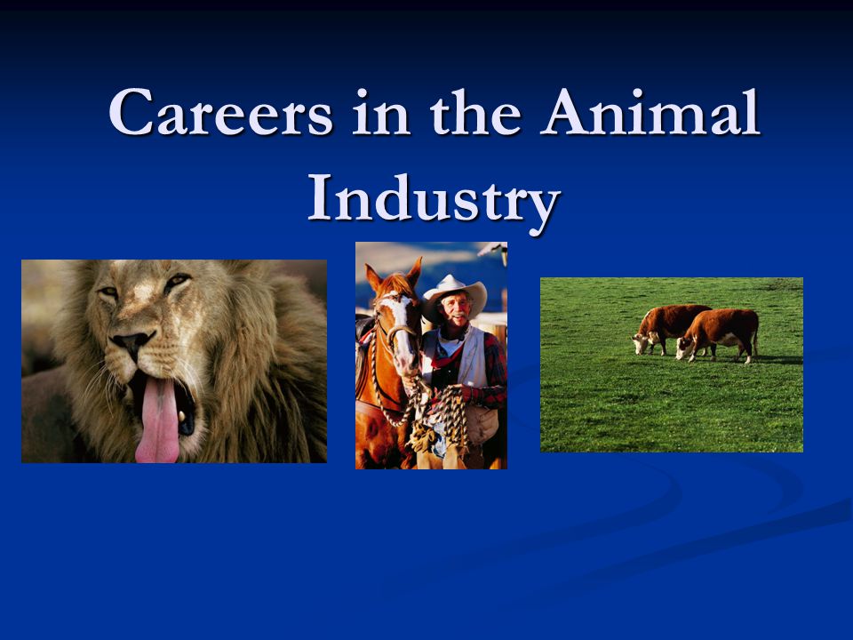 Careers in the Animal Industry
