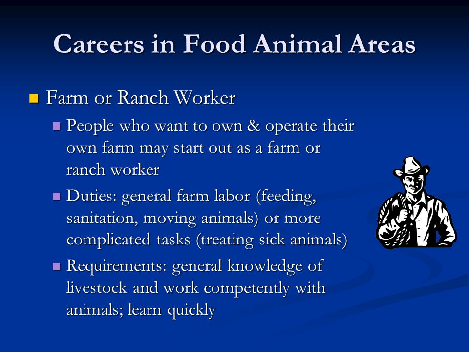 Careers in Food Animal Areas Farm or Ranch Worker Farm or Ranch Worker People who want to own & operate their own farm may start out as a farm or ranch worker People who want to own & operate their own farm may start out as a farm or ranch worker Duties: general farm labor (feeding, sanitation, moving animals) or more complicated tasks (treating sick animals) Duties: general farm labor (feeding, sanitation, moving animals) or more complicated tasks (treating sick animals) Requirements: general knowledge of livestock and work competently with animals; learn quickly Requirements: general knowledge of livestock and work competently with animals; learn quickly
