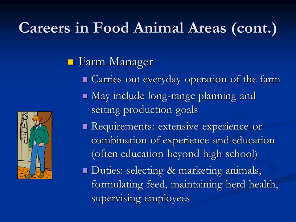 Careers in Food Animal Areas (cont.) Farm Manager Farm Manager Carries out everyday operation of the farm Carries out everyday operation of the farm May include long-range planning and setting production goals May include long-range planning and setting production goals Requirements: extensive experience or combination of experience and education (often education beyond high school) Requirements: extensive experience or combination of experience and education (often education beyond high school) Duties: selecting & marketing animals, formulating feed, maintaining herd health, supervising employees Duties: selecting & marketing animals, formulating feed, maintaining herd health, supervising employees