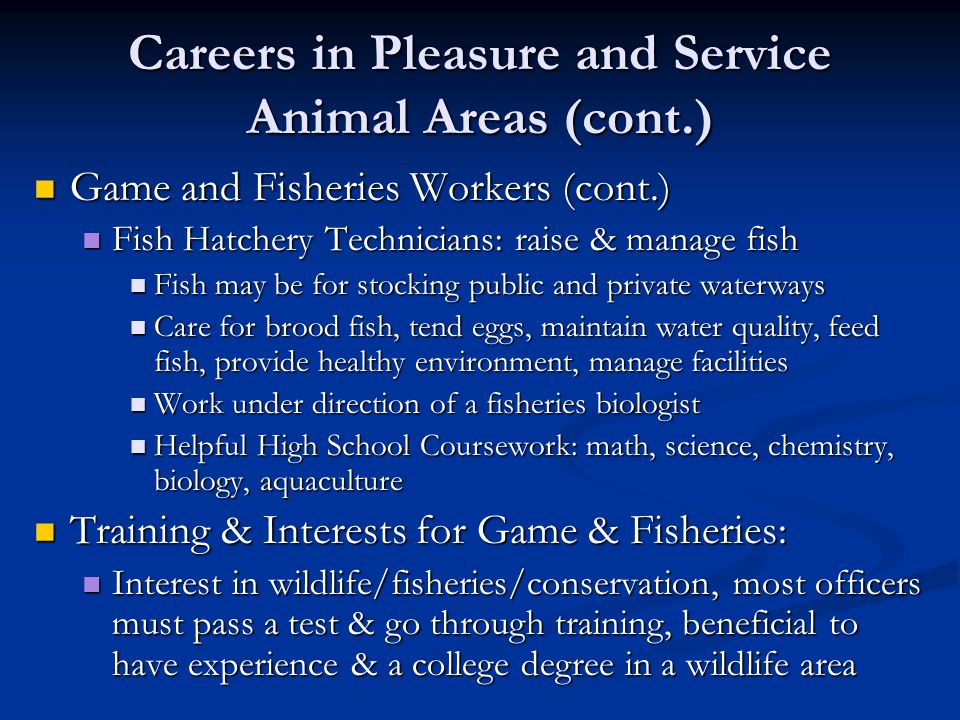 Careers in Pleasure and Service Animal Areas (cont.) Game and Fisheries Workers (cont.) Game and Fisheries Workers (cont.) Fish Hatchery Technicians: raise & manage fish Fish Hatchery Technicians: raise & manage fish Fish may be for stocking public and private waterways Fish may be for stocking public and private waterways Care for brood fish, tend eggs, maintain water quality, feed fish, provide healthy environment, manage facilities Care for brood fish, tend eggs, maintain water quality, feed fish, provide healthy environment, manage facilities Work under direction of a fisheries biologist Work under direction of a fisheries biologist Helpful High School Coursework: math, science, chemistry, biology, aquaculture Helpful High School Coursework: math, science, chemistry, biology, aquaculture Training & Interests for Game & Fisheries: Training & Interests for Game & Fisheries: Interest in wildlife/fisheries/conservation, most officers must pass a test & go through training, beneficial to have experience & a college degree in a wildlife area Interest in wildlife/fisheries/conservation, most officers must pass a test & go through training, beneficial to have experience & a college degree in a wildlife area