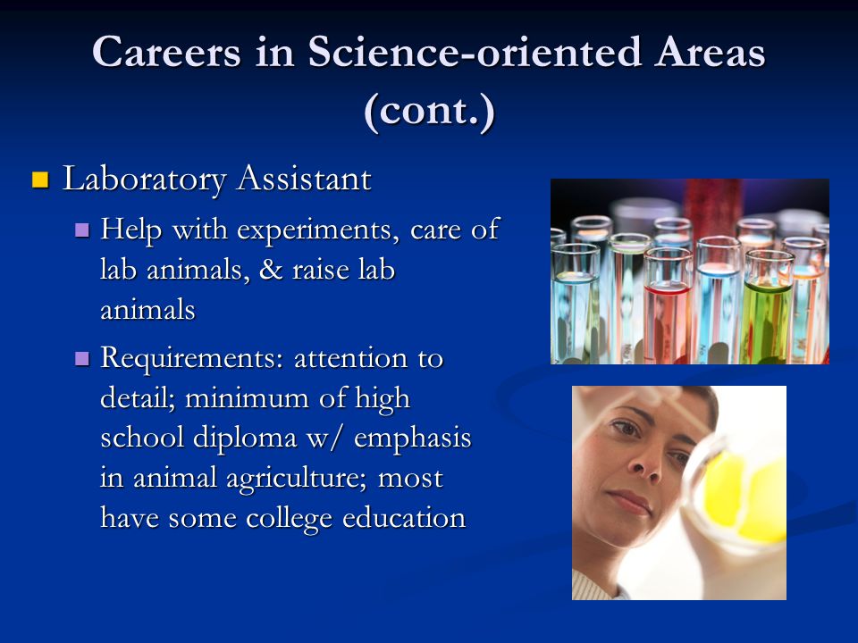 Careers in Science-oriented Areas (cont.) Laboratory Assistant Laboratory Assistant Help with experiments, care of lab animals, & raise lab animals Help with experiments, care of lab animals, & raise lab animals Requirements: attention to detail; minimum of high school diploma w/ emphasis in animal agriculture; most have some college education Requirements: attention to detail; minimum of high school diploma w/ emphasis in animal agriculture; most have some college education