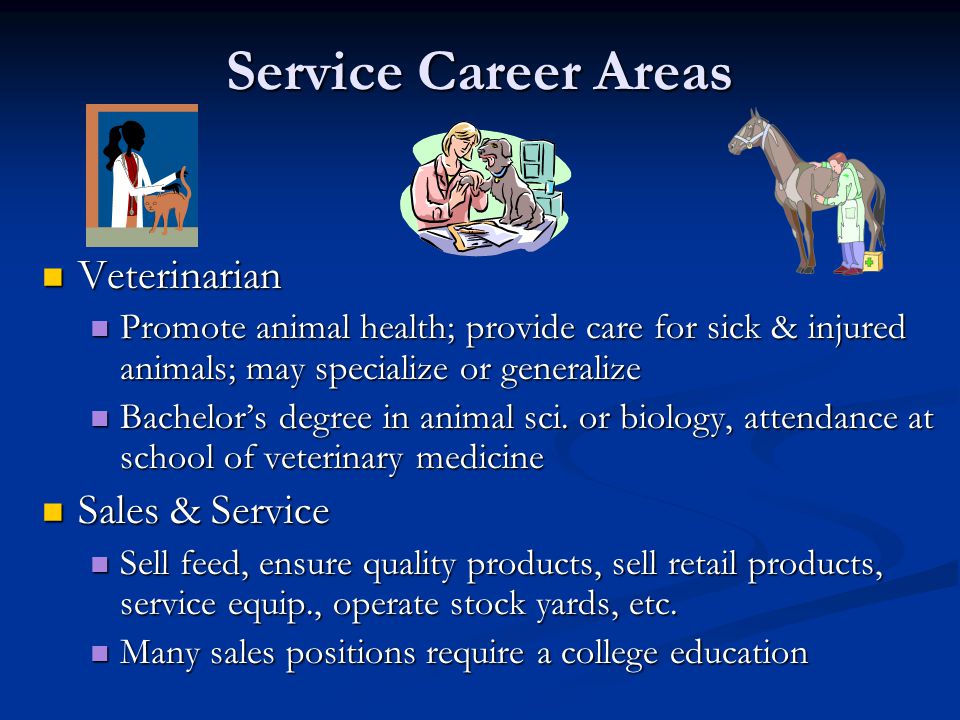 Service Career Areas Veterinarian Veterinarian Promote animal health; provide care for sick & injured animals; may specialize or generalize Promote animal health; provide care for sick & injured animals; may specialize or generalize Bachelor’s degree in animal sci.