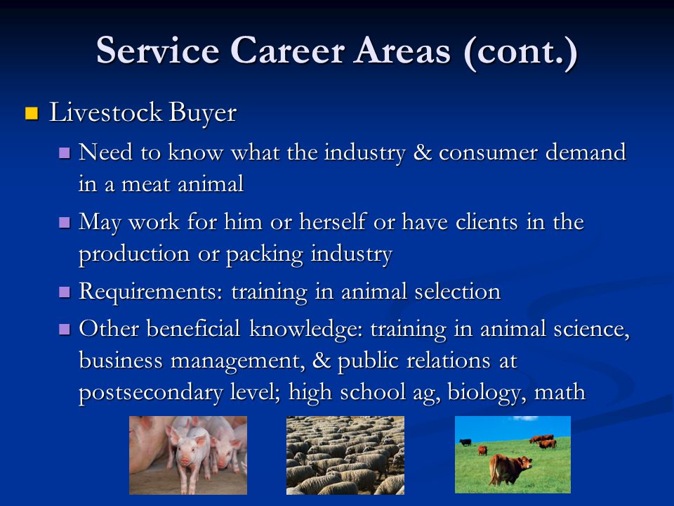 Service Career Areas (cont.) Livestock Buyer Livestock Buyer Need to know what the industry & consumer demand in a meat animal Need to know what the industry & consumer demand in a meat animal May work for him or herself or have clients in the production or packing industry May work for him or herself or have clients in the production or packing industry Requirements: training in animal selection Requirements: training in animal selection Other beneficial knowledge: training in animal science, business management, & public relations at postsecondary level; high school ag, biology, math Other beneficial knowledge: training in animal science, business management, & public relations at postsecondary level; high school ag, biology, math