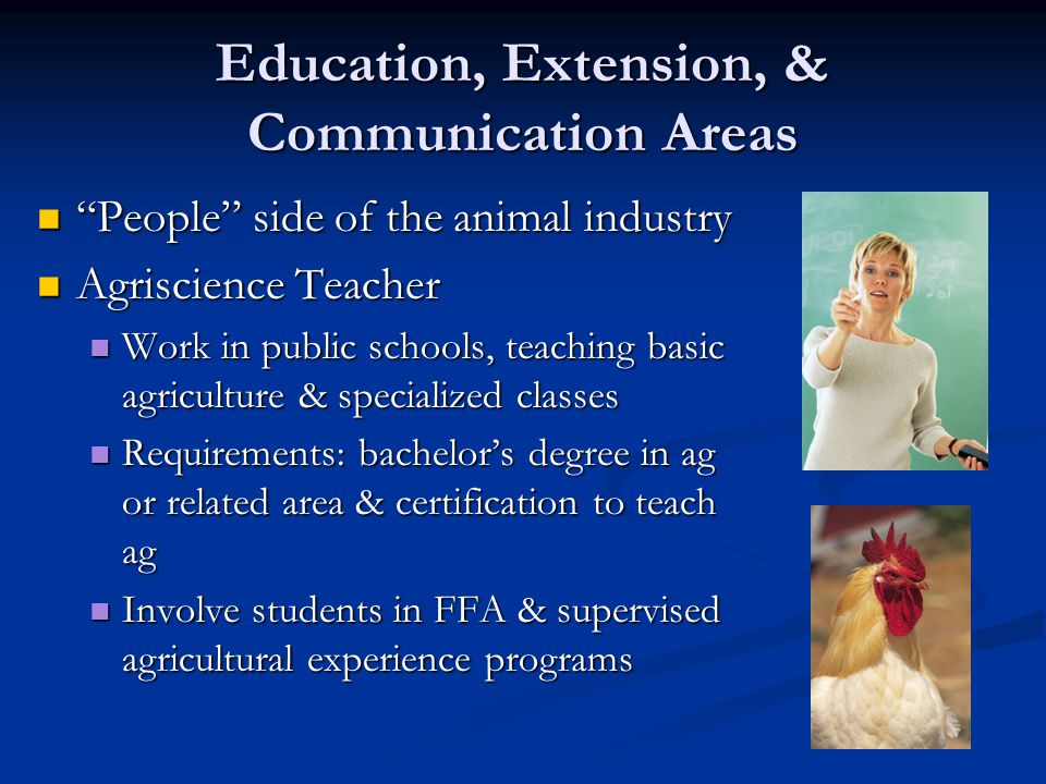 Education, Extension, & Communication Areas People side of the animal industry People side of the animal industry Agriscience Teacher Agriscience Teacher Work in public schools, teaching basic agriculture & specialized classes Work in public schools, teaching basic agriculture & specialized classes Requirements: bachelor’s degree in ag or related area & certification to teach ag Requirements: bachelor’s degree in ag or related area & certification to teach ag Involve students in FFA & supervised agricultural experience programs Involve students in FFA & supervised agricultural experience programs