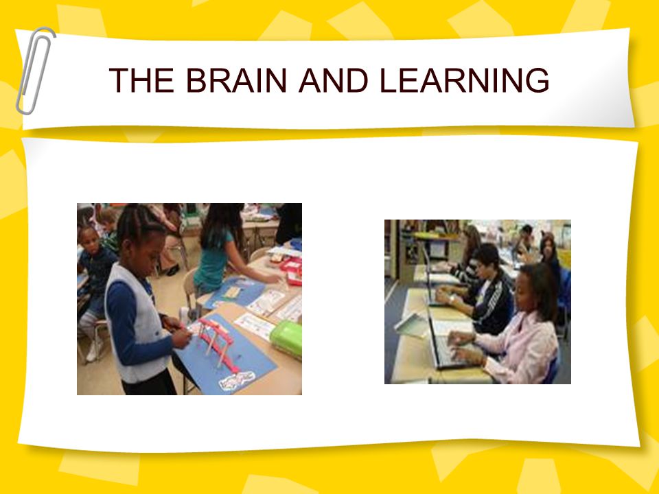 THE BRAIN AND LEARNING