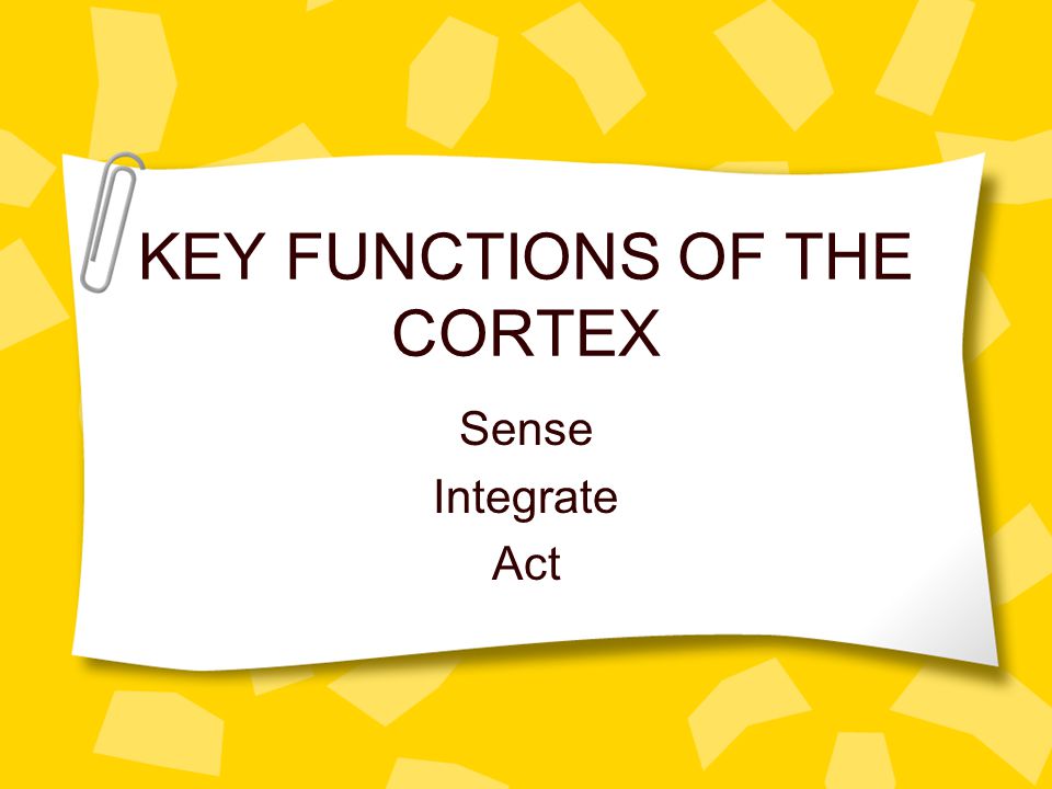 KEY FUNCTIONS OF THE CORTEX Sense Integrate Act