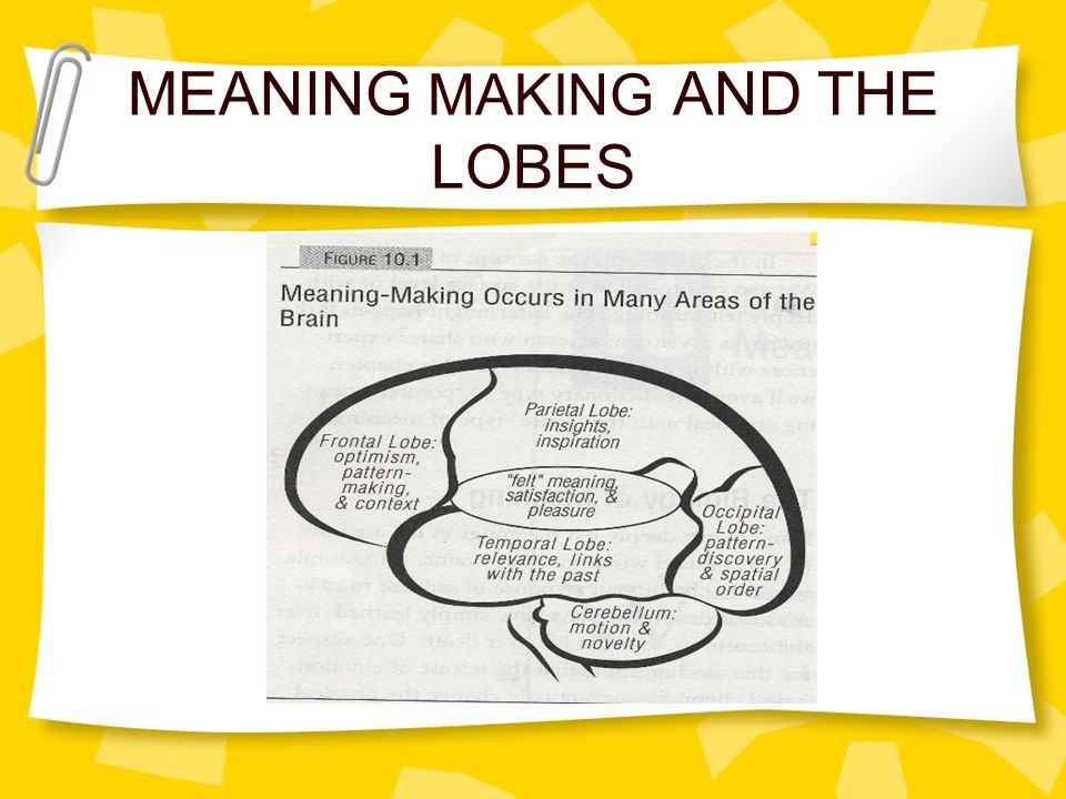 MEANING MAKING AND THE LOBES