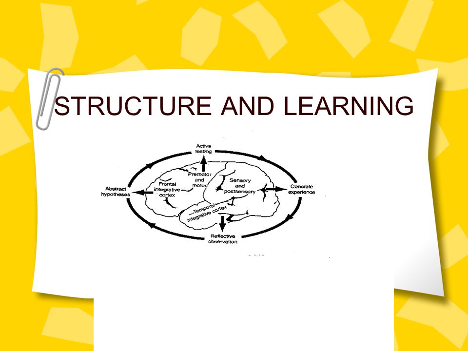 STRUCTURE AND LEARNING