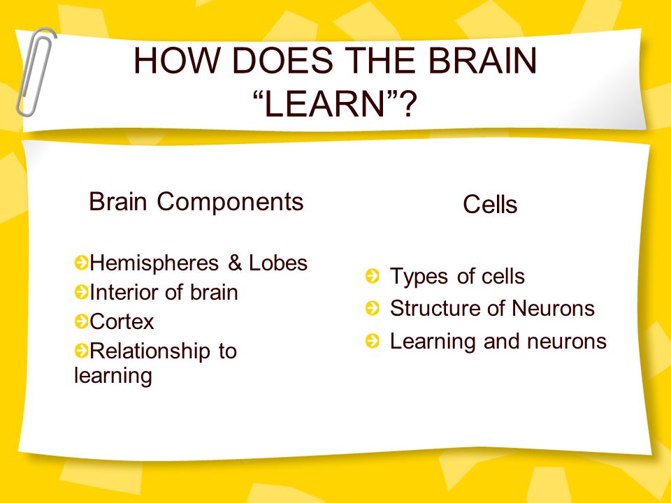 HOW DOES THE BRAIN LEARN .