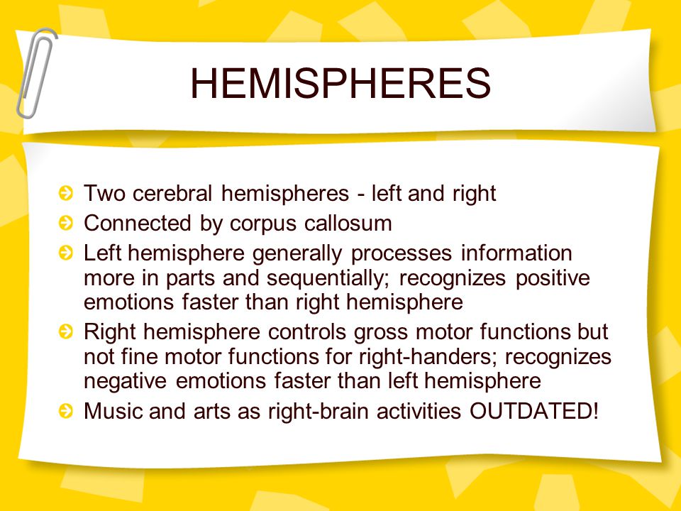 HEMISPHERES Two cerebral hemispheres - left and right Connected by corpus callosum Left hemisphere generally processes information more in parts and sequentially; recognizes positive emotions faster than right hemisphere Right hemisphere controls gross motor functions but not fine motor functions for right-handers; recognizes negative emotions faster than left hemisphere Music and arts as right-brain activities OUTDATED!